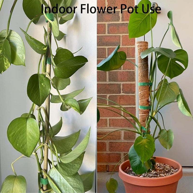 BGCLOUD Store Plant Ties,1/2" 66ft Reusable Plant Tape Adjustable Garden Ties for Supporting Plants Tomatoes Climbing Planters Effective Growing - Image 3